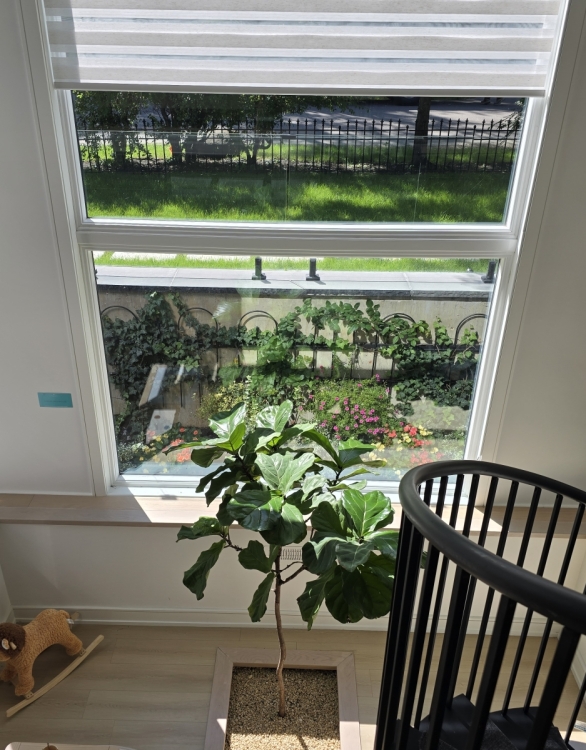 6f